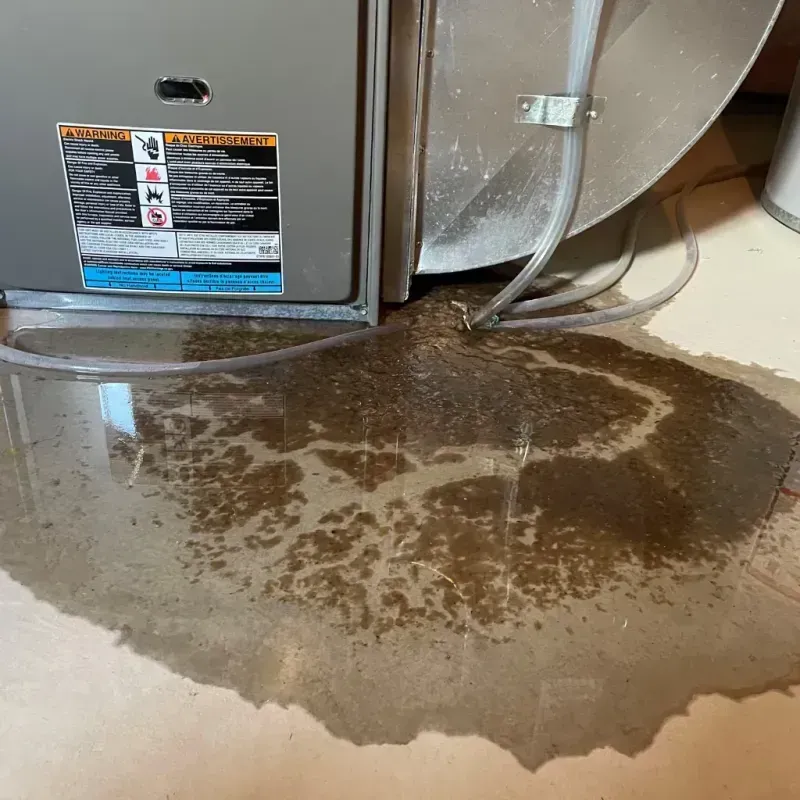 Appliance Leak Cleanup in Wade, MS